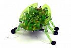 Микро-робот Hexbug Жук в ассортименте