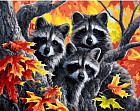 Картина по номерам «Малыши еноты»
