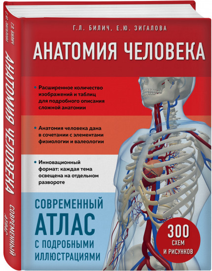 Анатомия человека. Современный атлас с подробными иллюстрациями