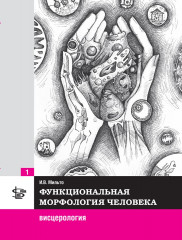 Функциональная морфология человека