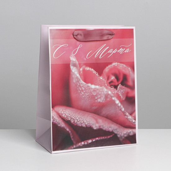 Пакет подарочный