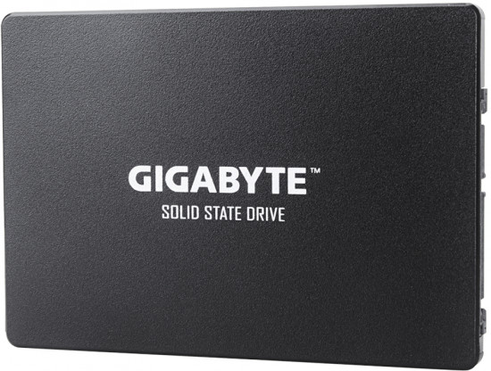 SSD накопитель Gigabyte GP-GSTFS31256GTND
