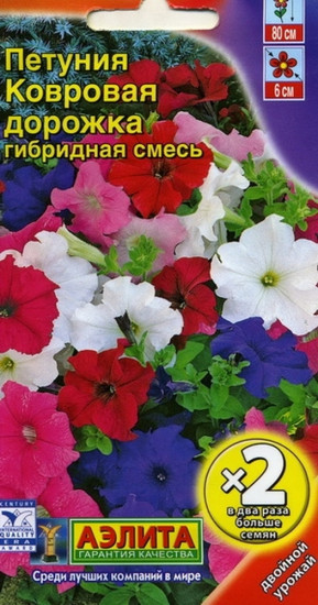Петуния «Ковровая дорожка»