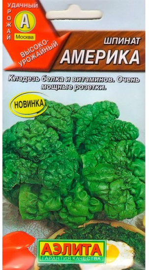 Шпинат «Америка»