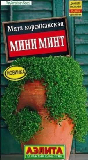 Мята «Корсиканская»