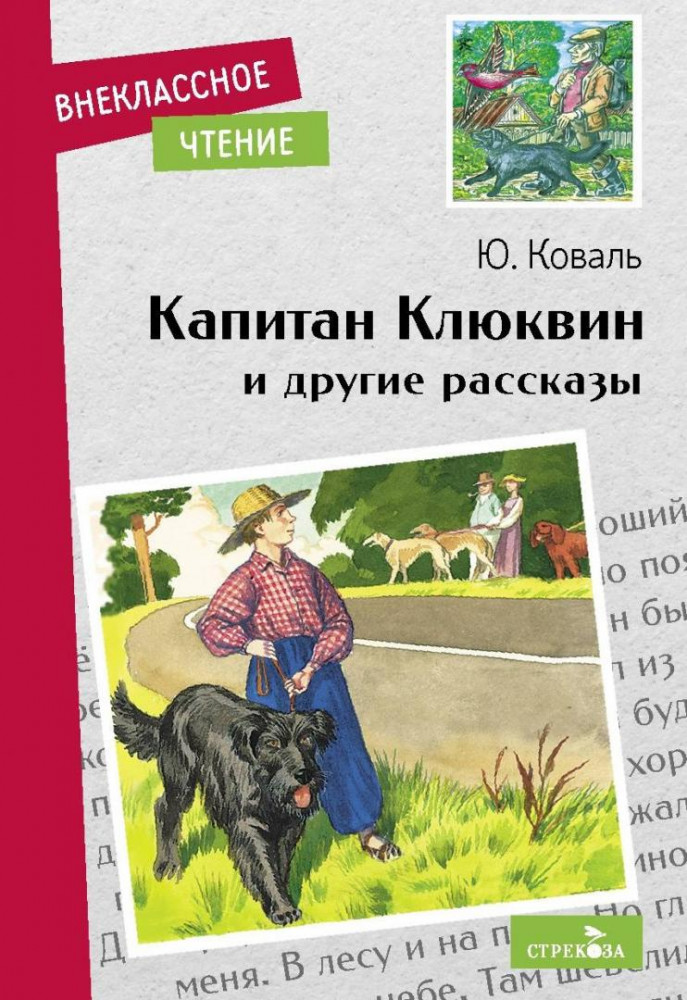Капитан Клюквин и другие рассказы | Внеклассное чтение