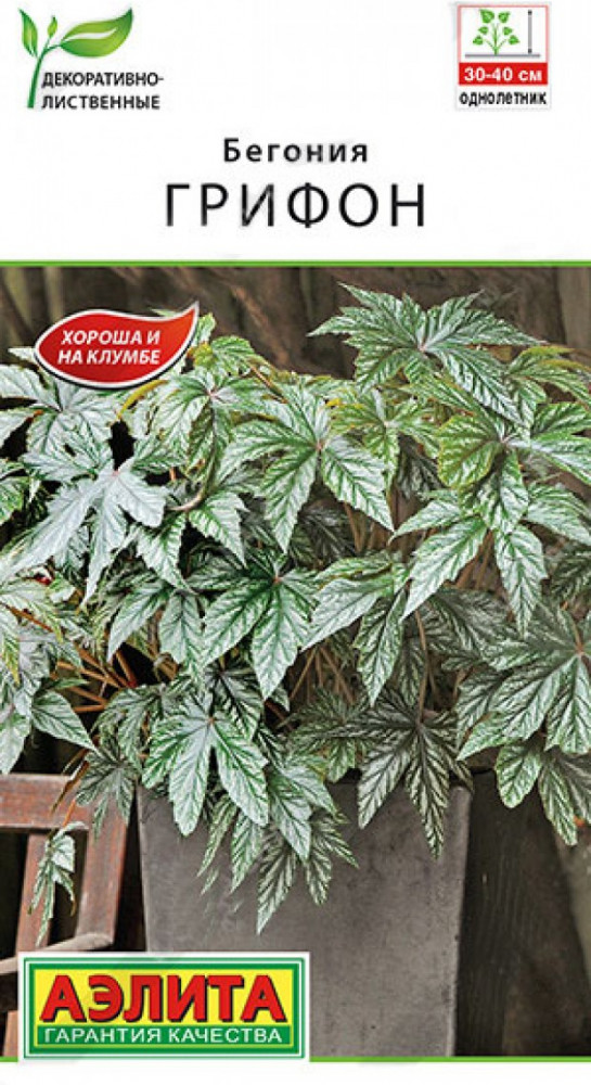 Бегония «Грифон» — Однолетние цветы (Аэлита) — Аэлита — Купить за 984