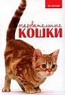 Очаровательные кошки