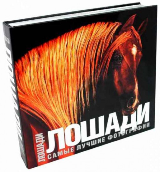Лошади: Самые лучшие фотографии