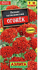 Лихнис «Огонек»