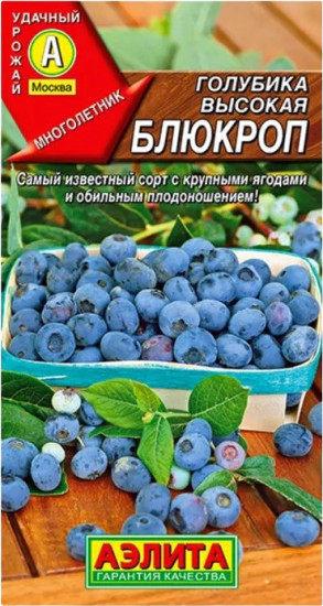 Голубика «Блюкроп»