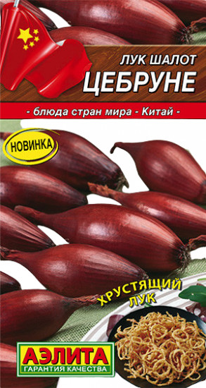 Лук шалот «Цебруне»