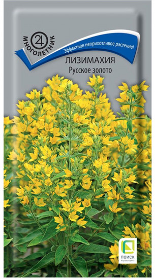 Лизимахия «Русское золото»