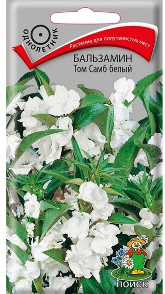 Бальзамин «Том Самб белый» | Поиск