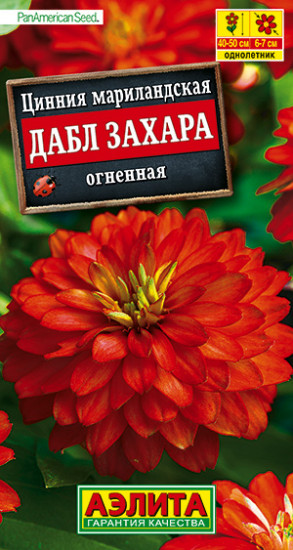 Цинния «Дабл Захара огненная»