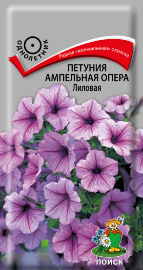 Петуния «Лиловая»