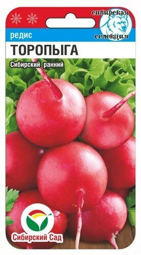 Редис «Торопыга»