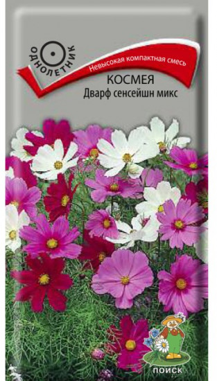 Космея «Дварф сенсейшн микс»