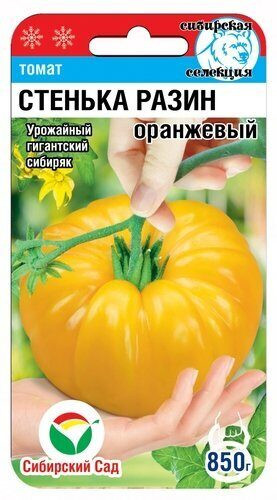 Томат «Стенька Разин оранжевый»