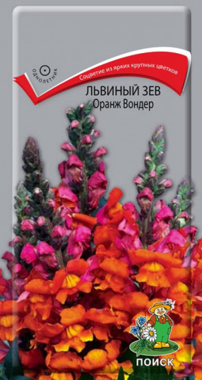 Львиный зев «Оранж Вондер»