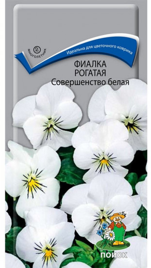 Фиалка рогатая «Совершенство белая»