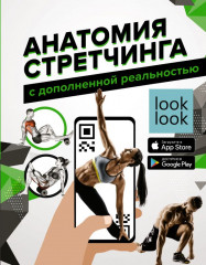 Анатомия стретчинга