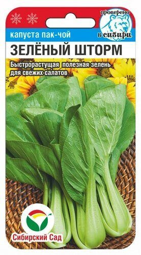Капуста пак-чой «Зеленый шторм»