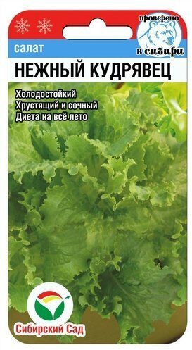Салат «Нежный кудрявец»
