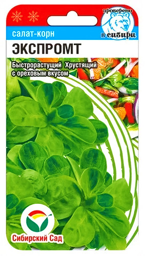 Салат-корн «Экспромт»