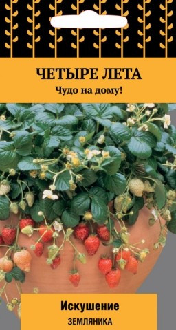 Земляника «Искушение» | Четыре лета | Поиск