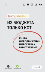 Из бюджета только кот