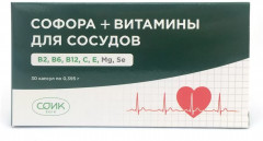 Капсулы «Софора + витамины для сосудов»