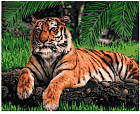 Картина по номерам «Грациозный тигр»