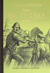 Из тупика. В 2-х книгах. Книга 1. Проникновение