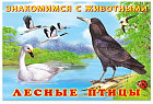 Лесные птицы