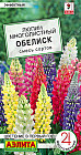 Люпин «Обелиск»