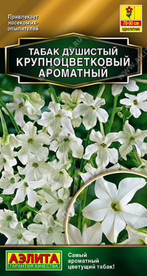 Табак душистый крупноцветковый «Ароматный»