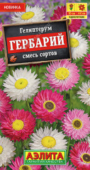 Гелиптерум «Гербарий», смесь сортов