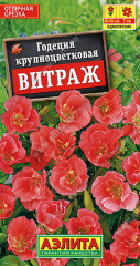 Годеция «Витраж» крупноцветковая