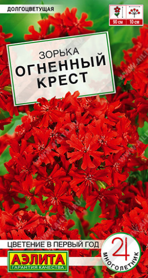 Зорька «Огненный крест»