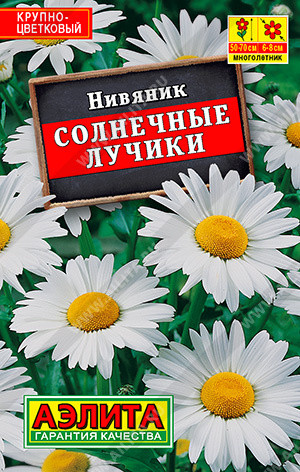 Нивяник «Солнечные лучики»