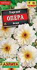 Георгина «Опера белая»