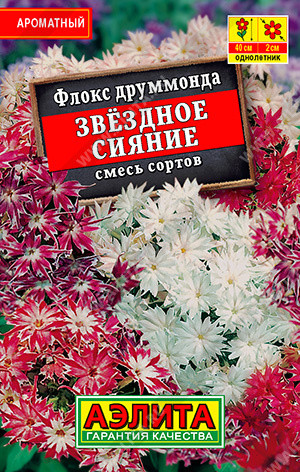 Флокс «Звездное сияние»