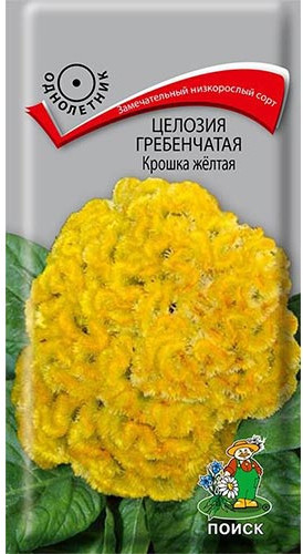 Целозия гребенчатая «Крошка жёлтая»