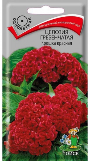 Целозия гребенчатая «Крошка красная»