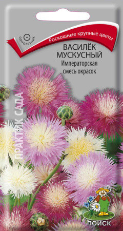 Семена. Василек мускусный «Императорская смесь окрасок»