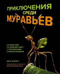 Приключения среди муравьев