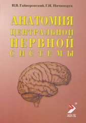 Анатомия центральной нервной системы