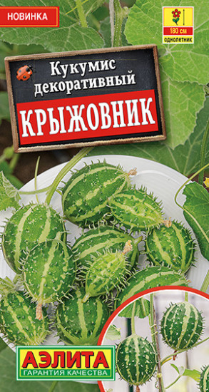 Кукумис декоративный «Крыжовник»