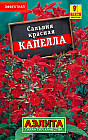 Сальвия красная Капелла